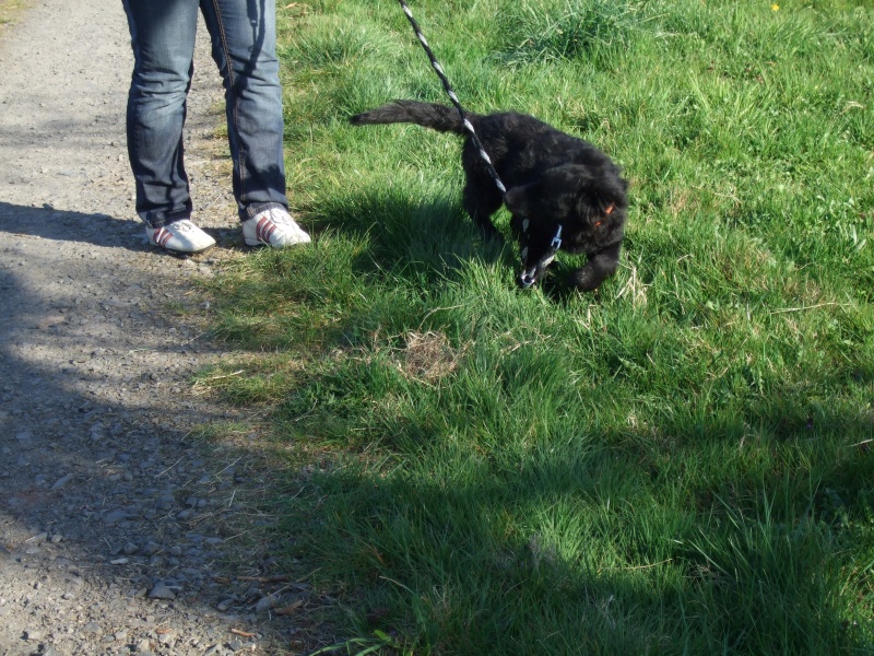 Ostern 2007 Orleshausen 083 